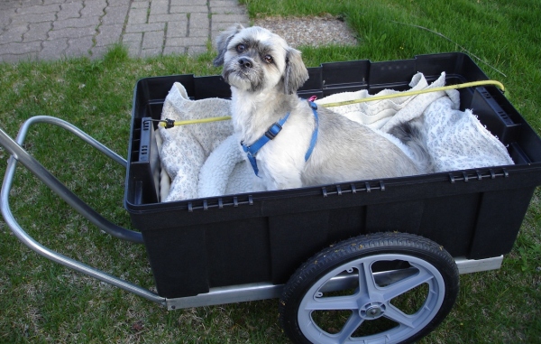 Diy dog store bike trailer