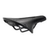 Brooks Cambium C19 Carved