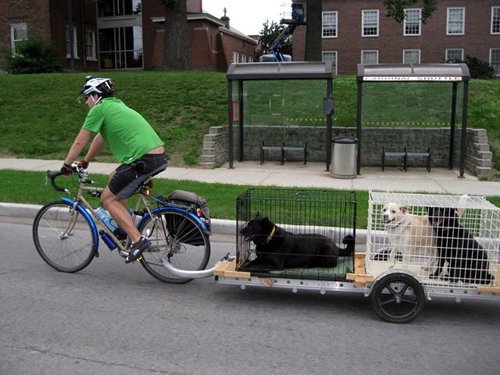 Multi Dog Trailer