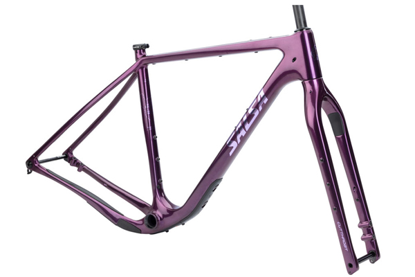 Salsa Frames