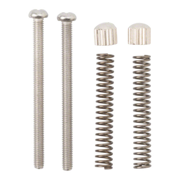 Surly Replacement Dropout Frame Screws